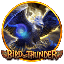 เกมสล็อต Bird of Thunder